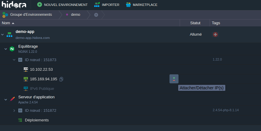 attach_ipv4